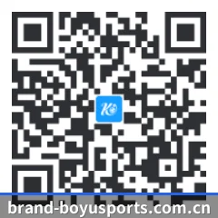系统版 iOS 二维码